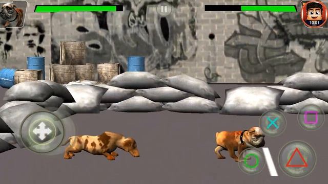 Обзор - Angry dog fighting hero:wild street dogs attack