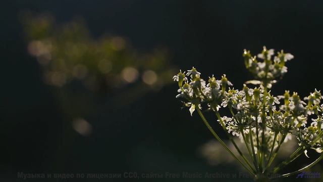 Звуковые волны, изменяющие сознание - попробуйте осторожно! - Praying For A Path Out -- Kirk Osamayo
