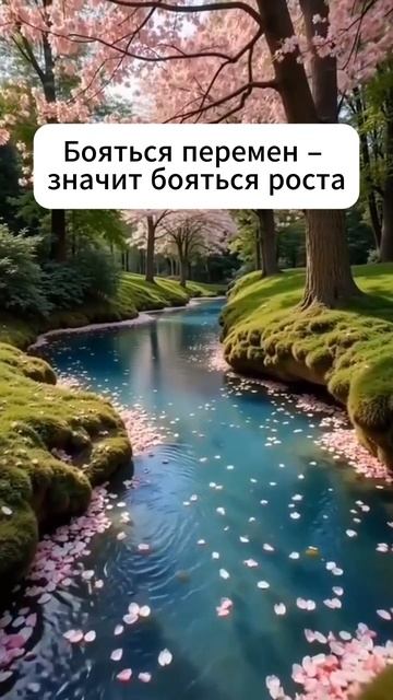 Кто не развивается – тот отстаёт 👇 #shorts #мотивация #заработок #деньги #успех #бизнес #обучение