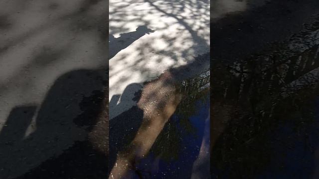 1000000051.mp4