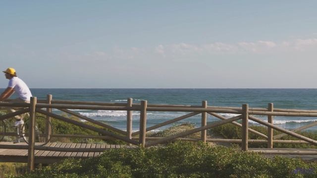 Поля разгораются красками вместе с мелодией - DreamScape -- HoliznaCC0 -- Space - Sleep - Meditation