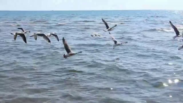 Морской Прибой.