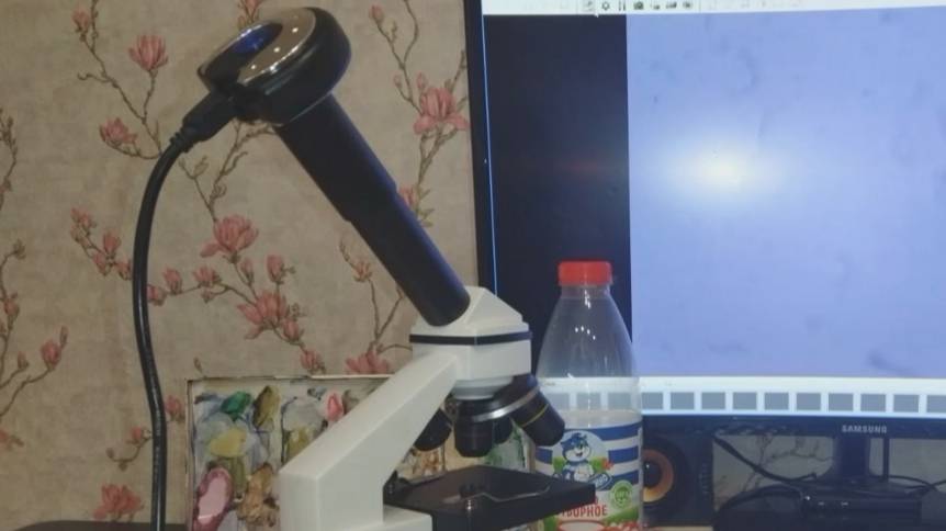 Броуновское движение