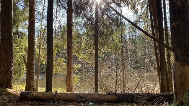 МУЖ ВЫГНАЛ МОЮ МАТЬ ИЗ МОЕЙ ЖЕ КВАРТИРЫ!... | Истории из