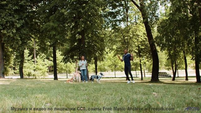 Погружение в природу становится полным благодаря мелодии - Working For The County -- Derek Clegg --