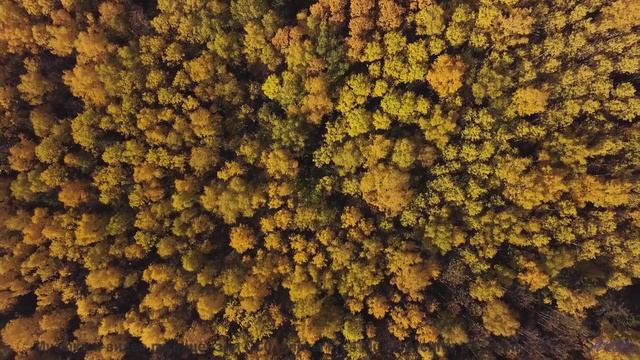 Романтика бесконечного шоссе и одного общего пледа на сиденье - Optimistic Bits -- Phillip Gross --