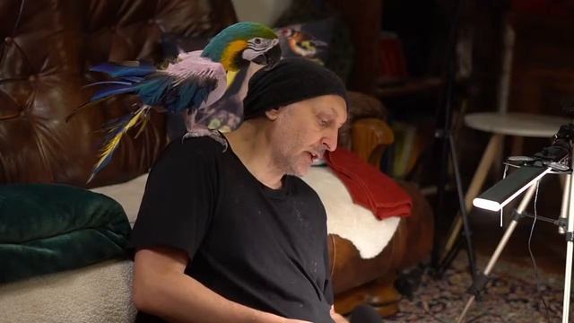 Бхарати Махарадж Шримад Бхагаватам 10.53