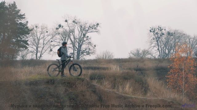 Почему в этом лесу нет птиц - Ode to a Dandelion -- Glad Rags -- Wonder Under