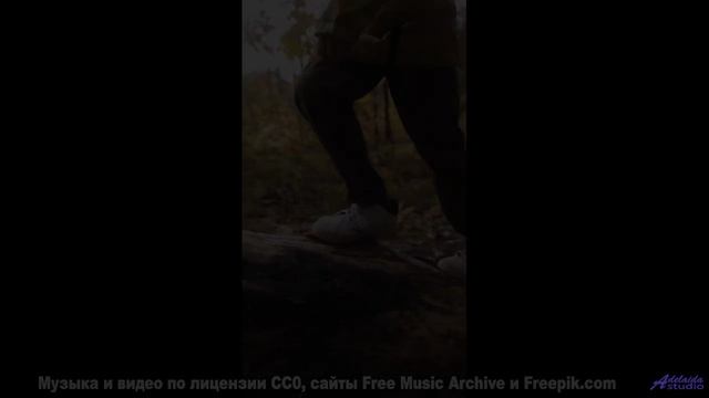 Эта музыка заставит вашу кошку говорить - попробуйте! - We Made It -- Kirk Osamayo -- Season Two (OR