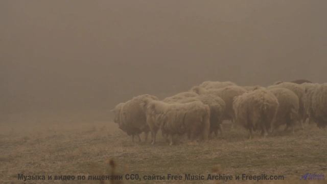 Пейзажи зажигаются в такт каждой новой мелодии - Waking with You -- Crowander -- Uplifting Funband (