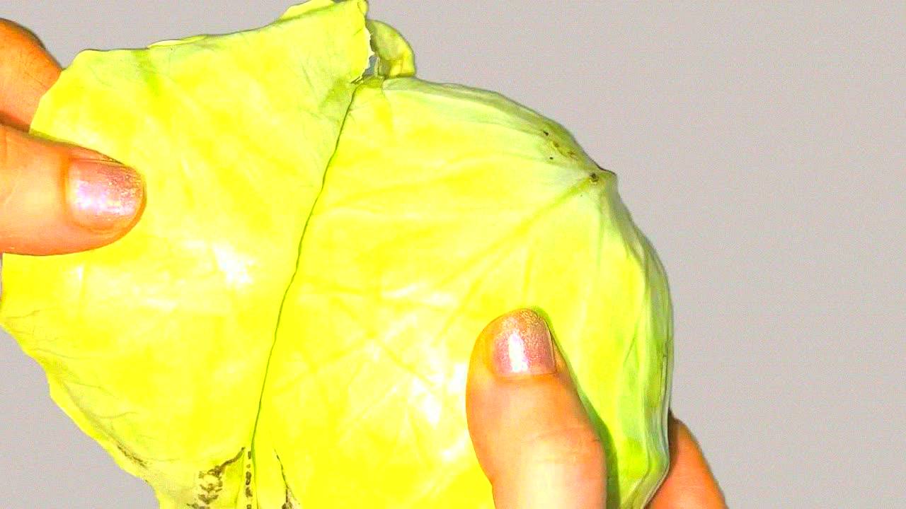 Этот золотой лист вытянет боль из колен и суставов за 1 ночь! Секрет бабушкиного рецепта!