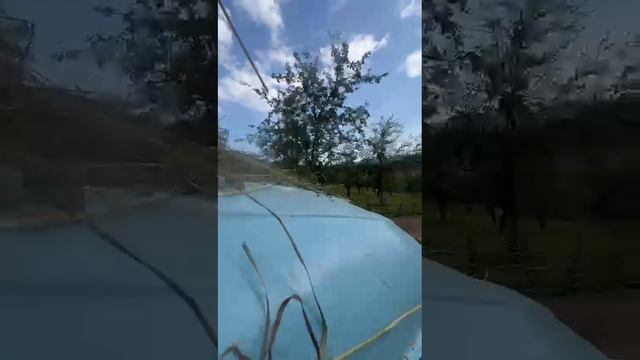 хасаним на ЗИЛе