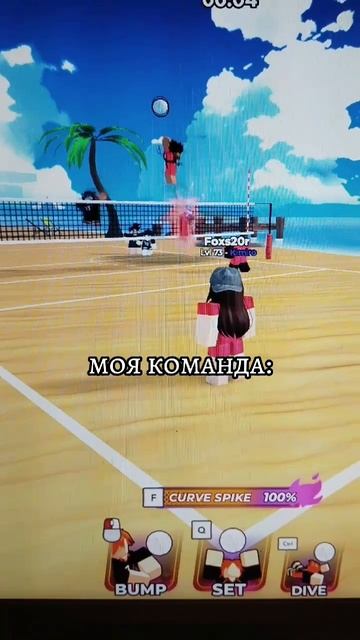 моя команда