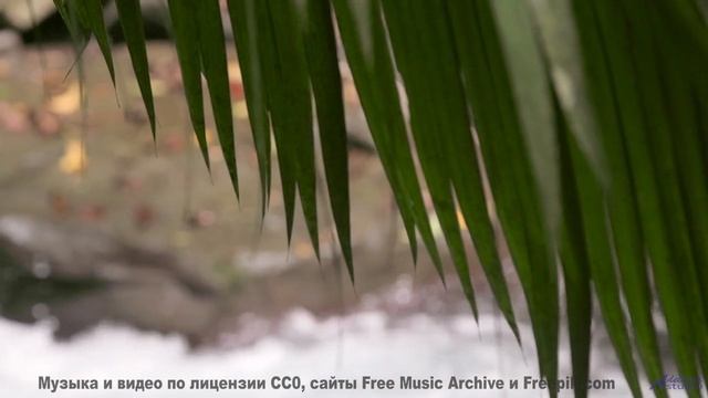 Пейзажи качают сердце, как волны качают море - I Will Leave You Too -- Steve Combs -- Jaw