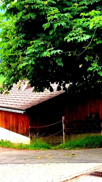Камера сняла что-то сверхъестественное