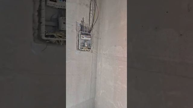 copy_F4AD1F1E-80D4-44DA-BEA5-A1E190CDDCC4