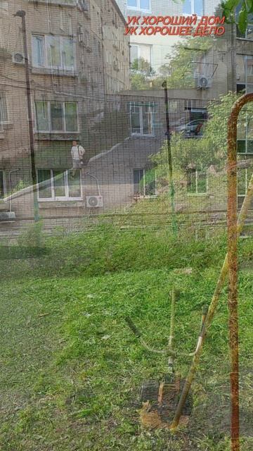 СЕЗОН ПОКОСА ТРАВЫ