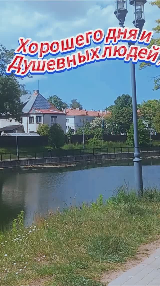 Пожелание доброго дня