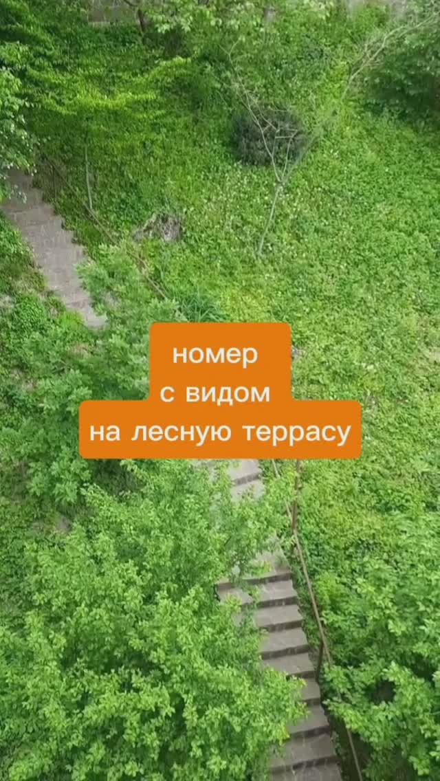 Номер с видом на лесную террасу.