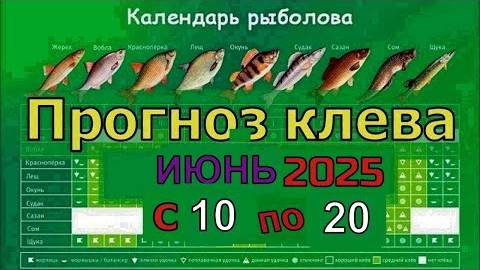 Когда лучше клюет рыба на этой неделе с 10 июня по 20 Июня 2025