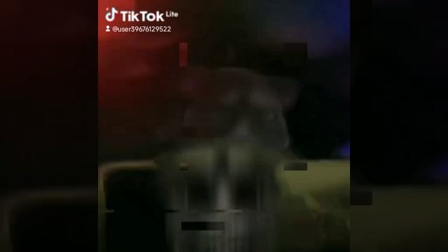 фонк