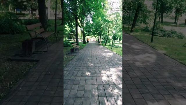 красота