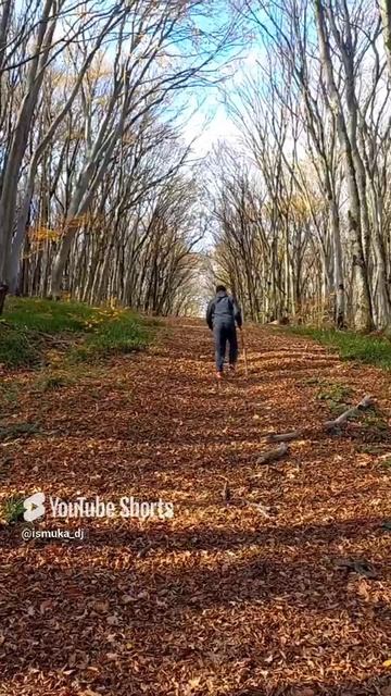ISMUKA давно ни чего не выкладывал )) одинокий странник потерял свою дорогу.