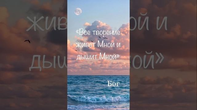 13.6.25.Молитва благословения 🔥🔥🔥🔥🔥🍃🍃🍃🍃🍃🌾🌾🌾🌾🌾🌈🌈🌈🌈💦💦💦💦💦🛐🛐🛐🛐🛐🌎🌎🌎🌎🌎🛐