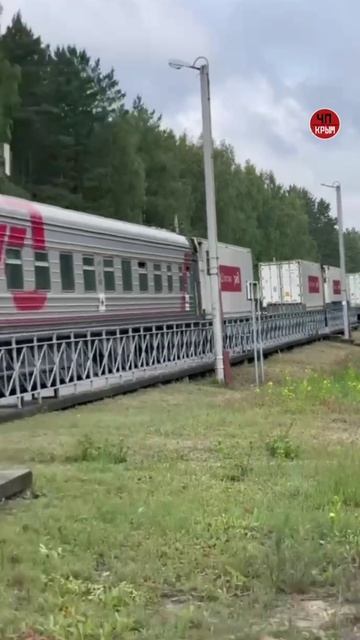 Россия провела вторую передачу Украине тел погибших военнослужащих ВСУ