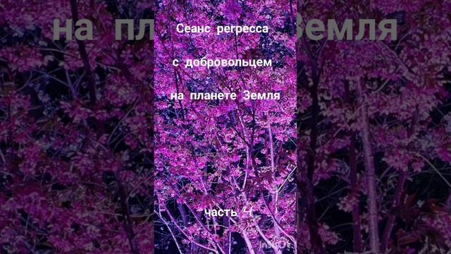 сеанс регресса часть 4