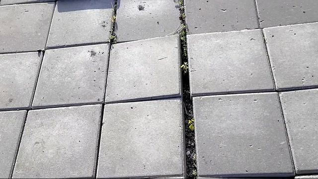 Оренбург Велопрогулка 12 июня 2025 г. Видео Виктор Поживин
