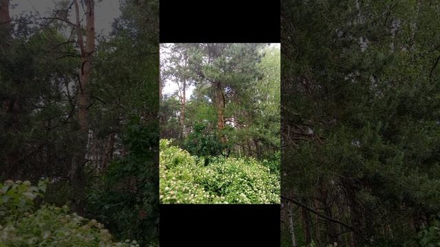 1000005961.mp4