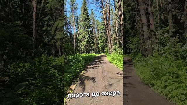 прогулка на даче