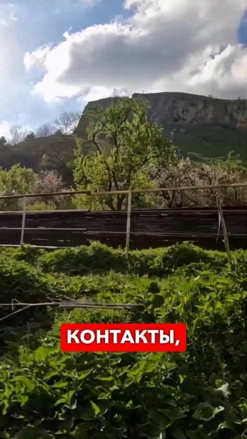Приезжайте в Осетию отдыхать! #shibargan #горы #осетия