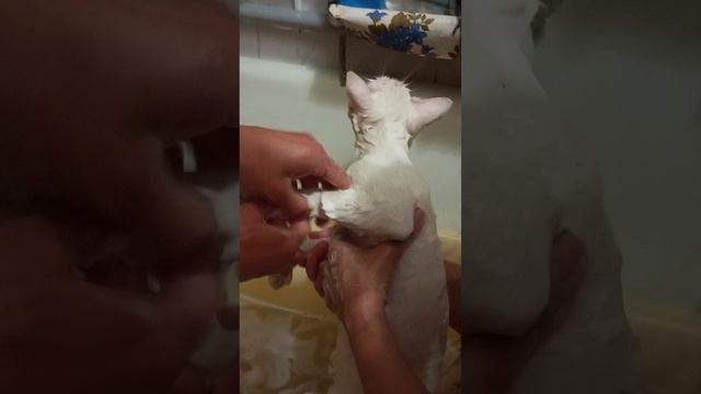 всем привет я в Сочи