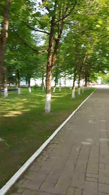 1000019287.mp4
