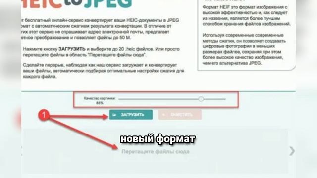 HEIC — зачем Apple заменил JPEG? Как открыть файлы HEIC на Windows, Android и iPhone
