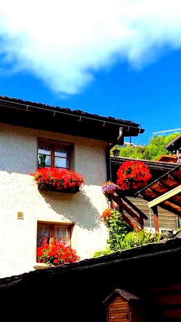 Всё происходило на глазах у камеры