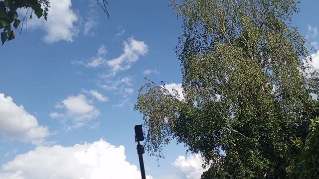 1000008310.mp4