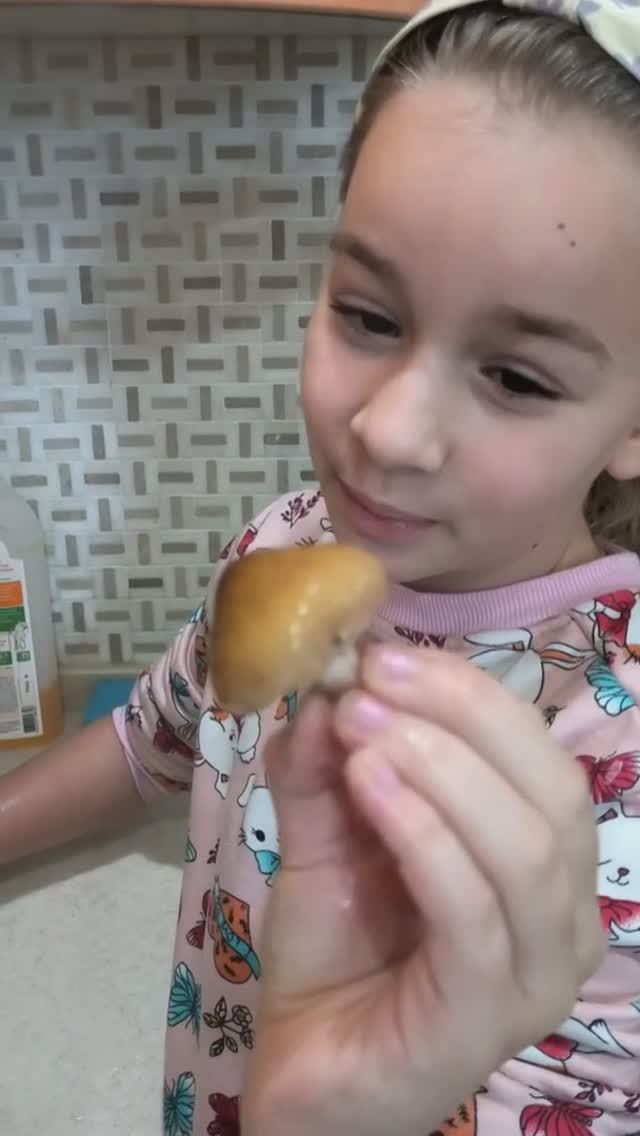 Грибы Опята