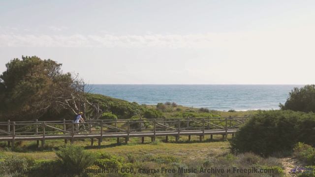 Музыка, которая превращает рассвет в волшебство! - Strangers -- HoliznaCC0 -- Orphaned Media