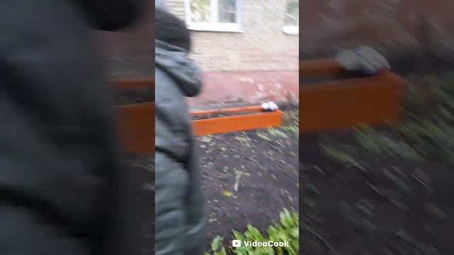 Новая грядка