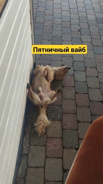 Пятница #travel