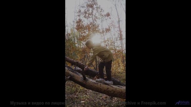 Леса дышат, когда играет эта потрясающая мелодия - Self-indulgent Is Not An Insult -- One Man Book -