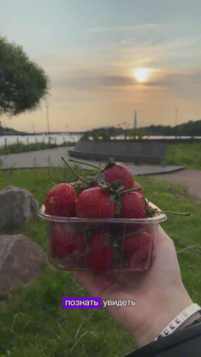 Путь к балансу 🧘🏻♀️
