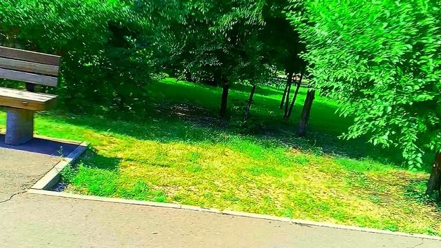 лавочка Лето - изменение цветов .Запись_2025_06_13_20_27_36_609