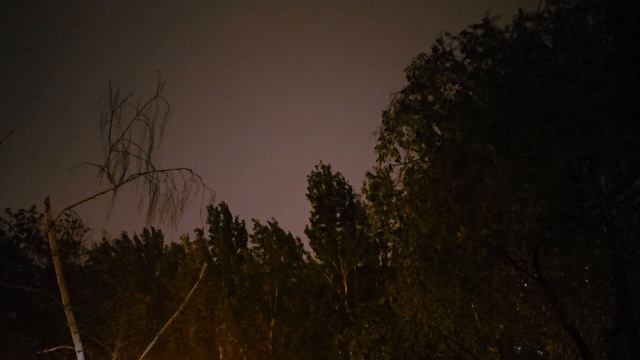 Ливень с грозой