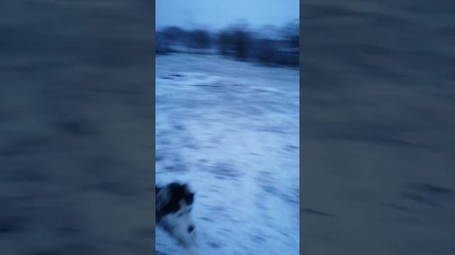 Выпал первый снег. Приморско-Ахтарск.