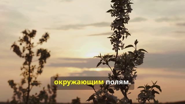 Как Роман создал свой яблоневый рай