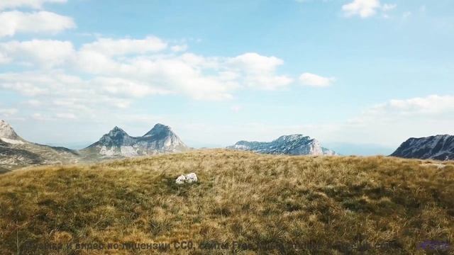 Что скрывает эта гармония Ответ изменит вас! - Alive In It -- Ketsa -- Equinox Rising